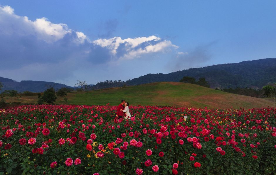 dalat flower garden