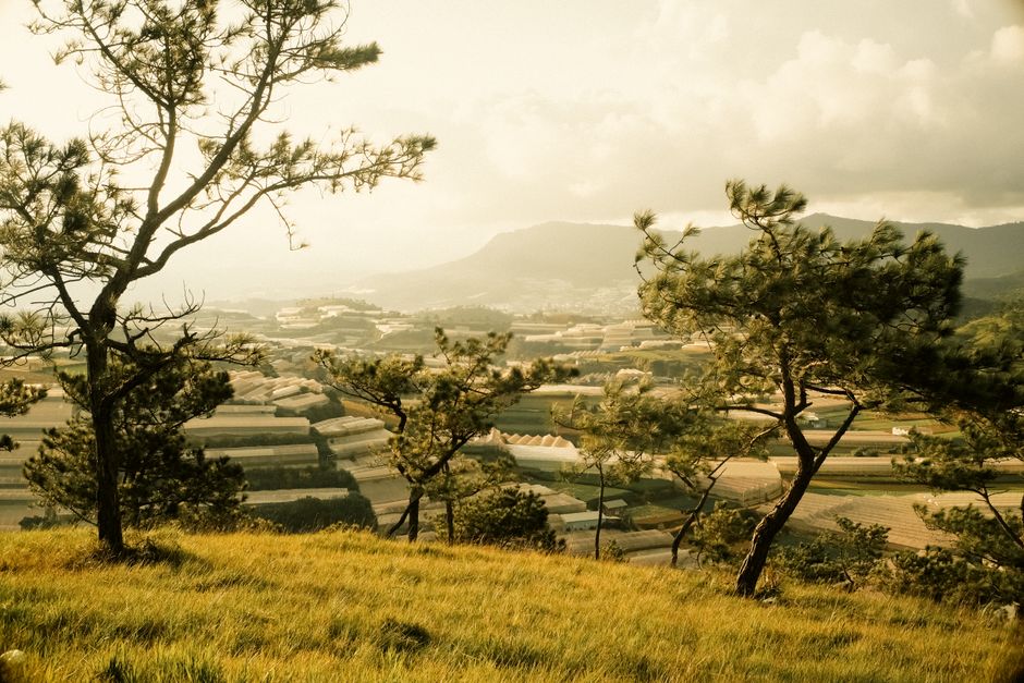 langbiang mountain view