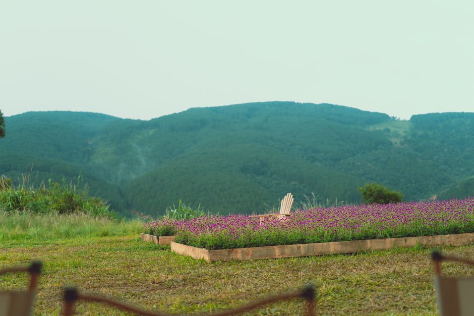 love valley dalat
