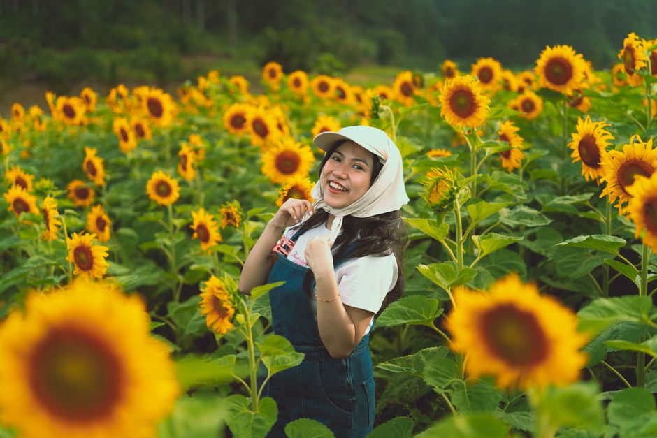 dalat flower garden