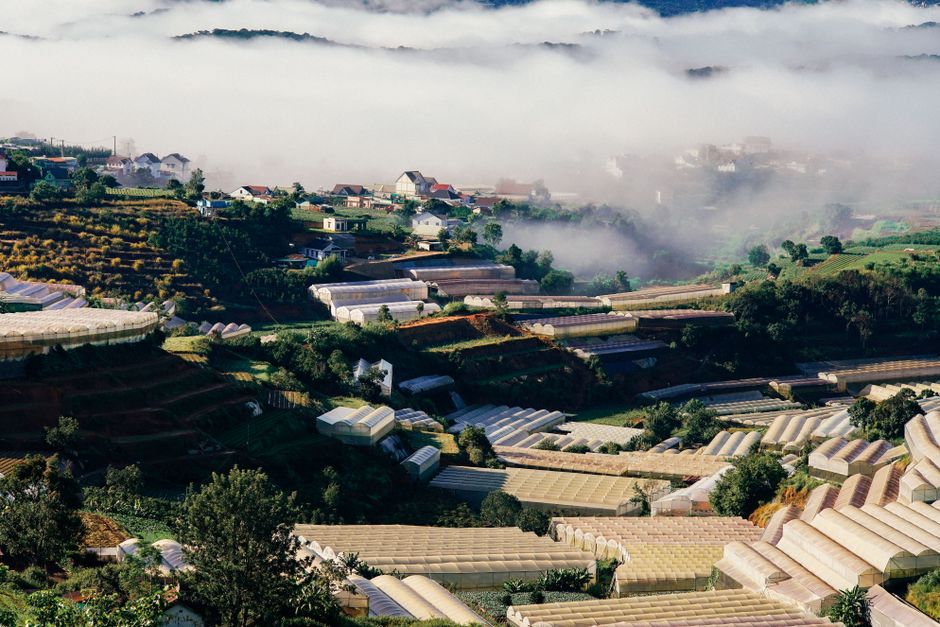 langbiang mountain view