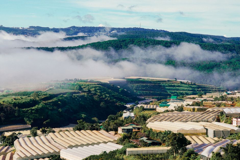 langbiang mountain view