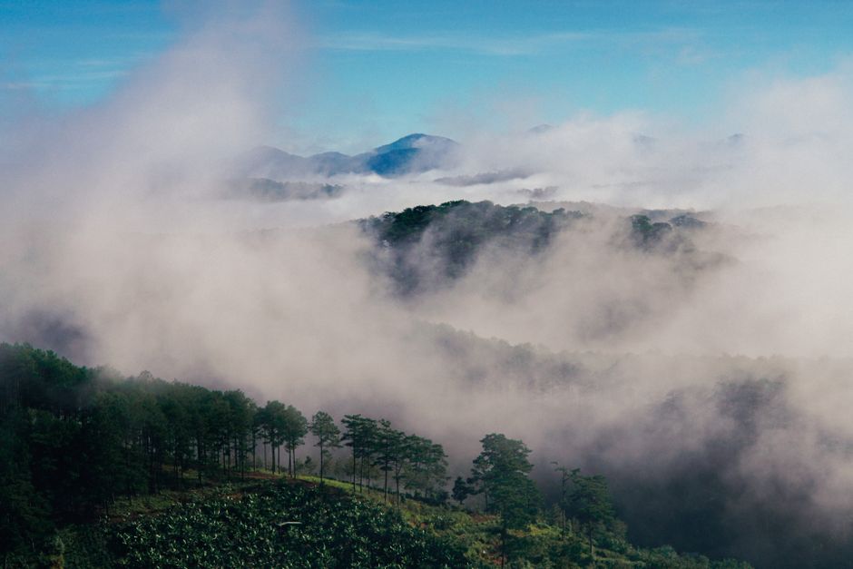 da lat cloud sea