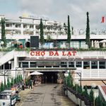 Khám Phá Đà Lạt: Những Trải Nghiệm Không Thể Bỏ Lỡ