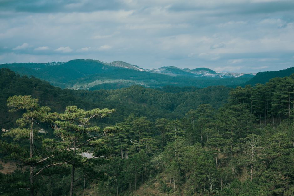 langbiang mountain summit