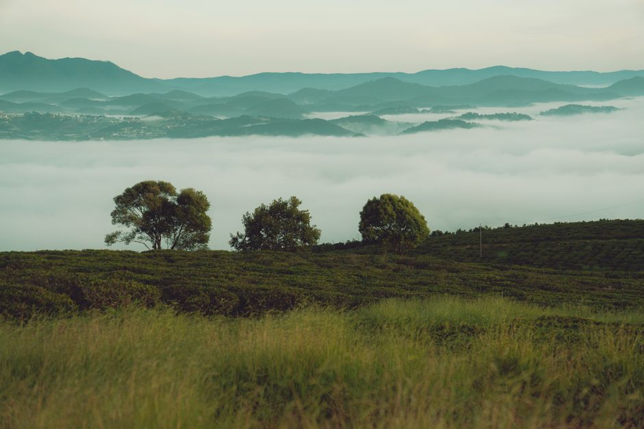 langbiang mountain sunrise
