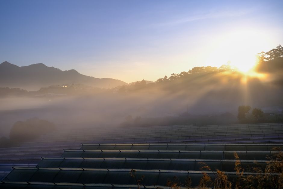 langbiang mountain sunrise